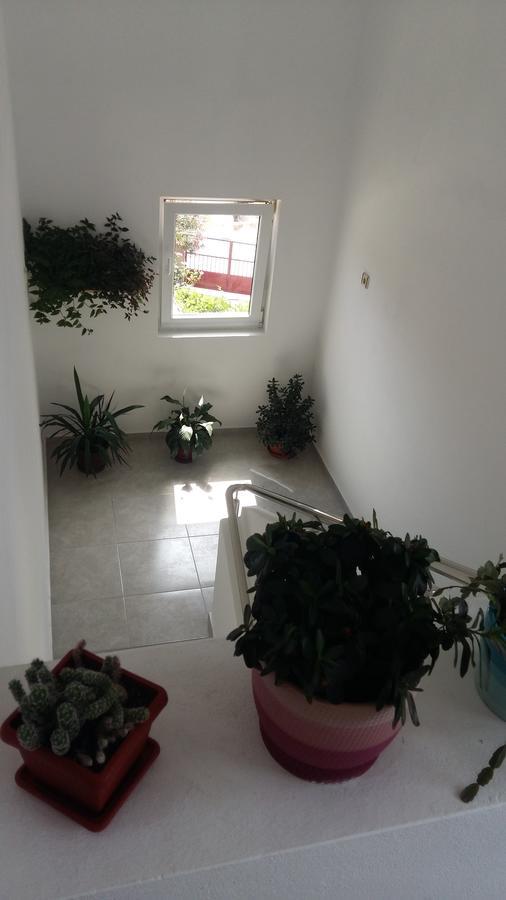 Apartment Hramina Murter Bagian luar foto